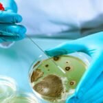 ¿Dónde puedo estudiar microbiología médica en Estados Unidos?